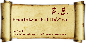 Promintzer Emiliána névjegykártya
